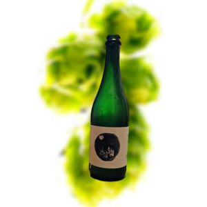 奇幻民谣 船舱棺材(第2批) 美式野菌艾尔