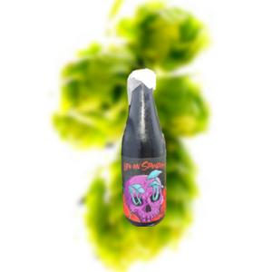 隐泉 静候余生 英式大麦酒