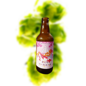 伊势卡多 樱花淡色啤酒 美式淡色艾尔
