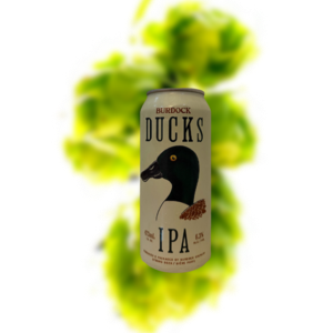 伯多克 绿头鸭 浑浊IPA（易拉罐）