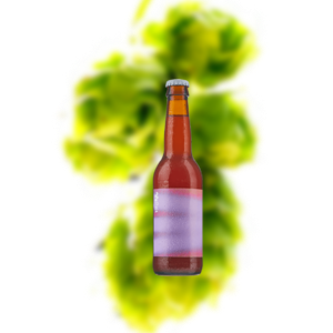 图乐 酸泰南格 柏林酸小麦啤酒