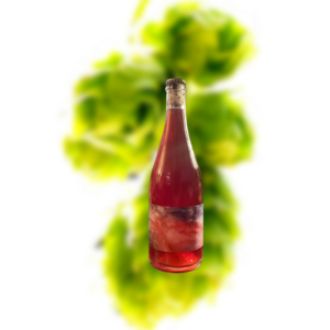 时空 红宝石连续体 野菌艾尔（2020）