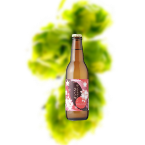 圣加伦 樱花 增味啤酒