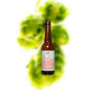 AF酒厂 高点和低点 IPA（易拉罐）