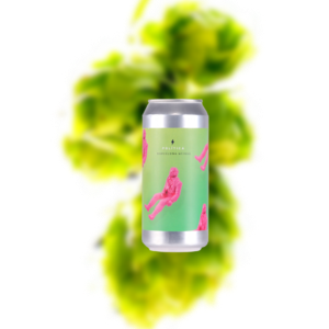 格拉杰 政治学 巴塞罗那酸小麦啤酒（易拉罐）