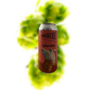 天神 豆蔻年华 美式世涛（易拉罐）