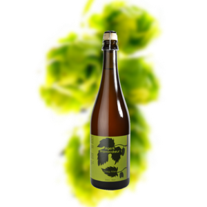 克雷格阿伦 大内密探 比利时 IPA