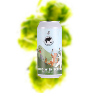 迷失与着陆 与杖狂奔 酒花型拉格（易拉罐）
