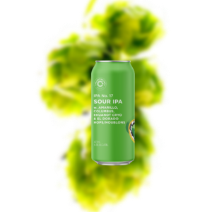 联合艺术 17号 IPA（易拉罐）