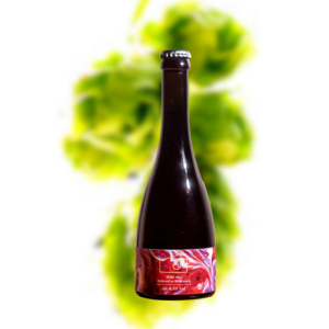 伦敦啤酒工厂 玫瑰色眼镜 野菌艾尔