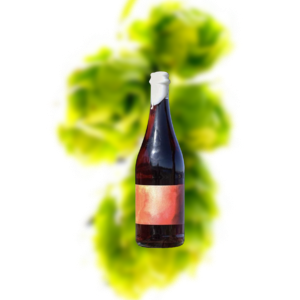 时空 酿酒葡萄：佳美 美式野菌艾尔（2019）