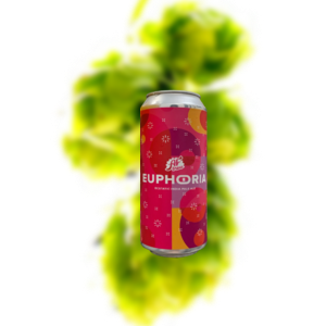 AF酒厂 欣喜 IPA（易拉罐）
