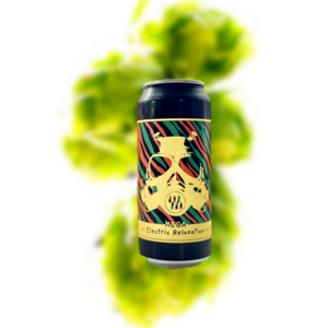 虚心人 电子放松版 双倍IPA（易拉罐）