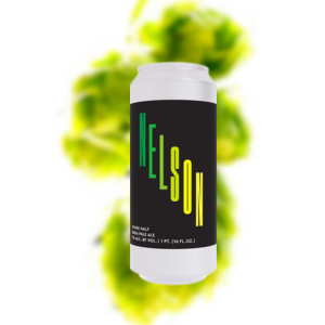 另一半 尼尔森 IPA（易拉罐）