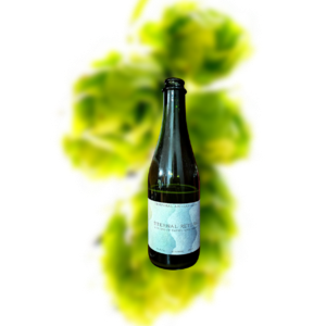 时空 永恒回归 野菌艾尔（2021特别版 - 白色酒标）