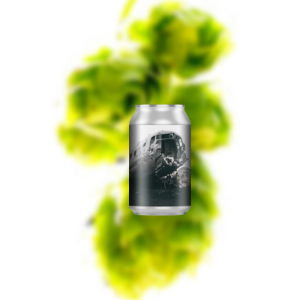 北僧 顾客项目 1.02 DC3冰岛 咖啡波特（易拉罐）