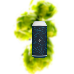 北酿 水瓶座线 西海岸社交型IPA（易拉罐）