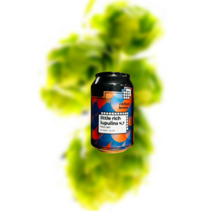 火炭 小型巨量蛇麻素 浑浊IPA - 第7版本（易拉罐）